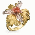 Golden ring Orchid