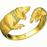 Golden ring Badger-dog