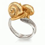 Golden ring Snails