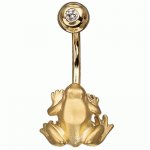 Golden pirsing Frog