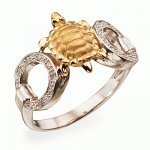 Golden ring Tortoise