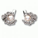 Silver earrings Summer