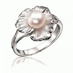 Silver ring Towards the Sun
