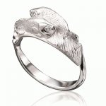 Silver ring Fishes